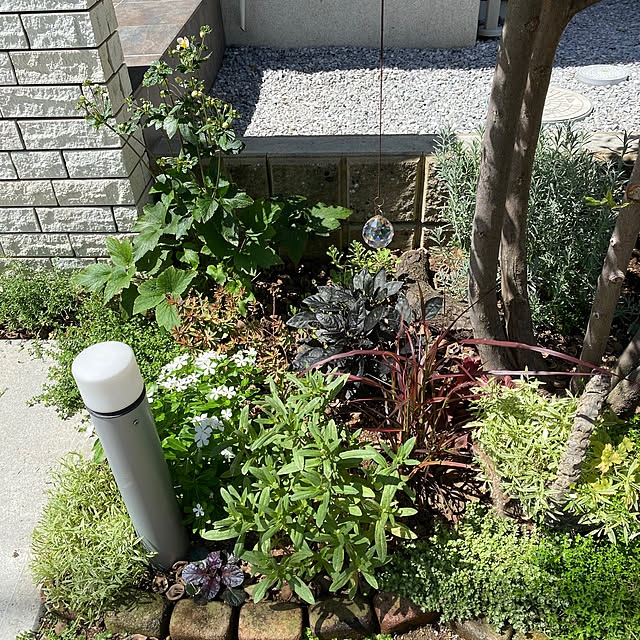 Komekoさんの部屋