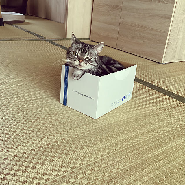 richanさんの部屋