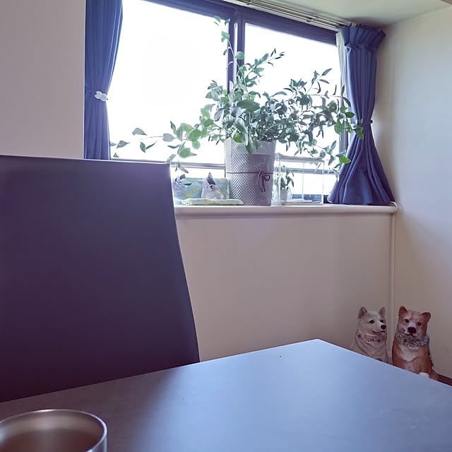 NOAHさんの部屋