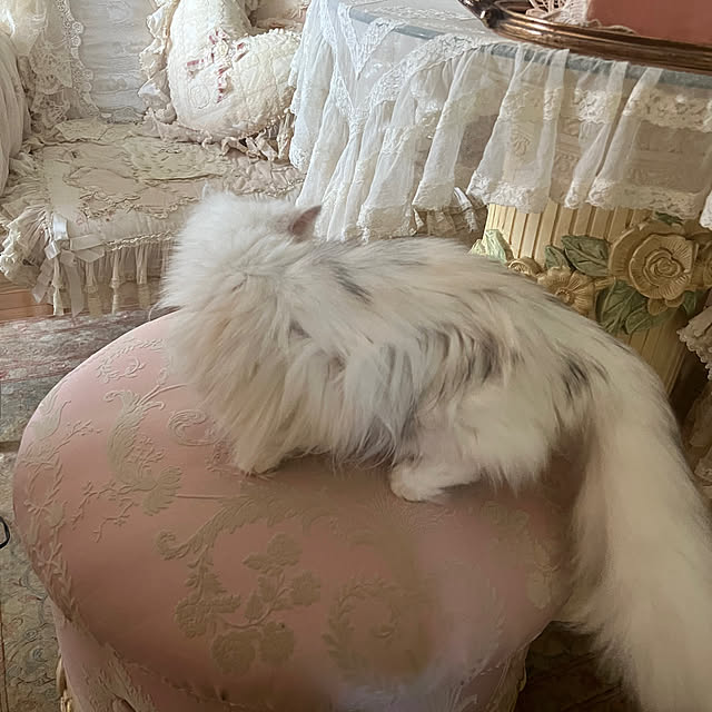 AYUKOさんの部屋