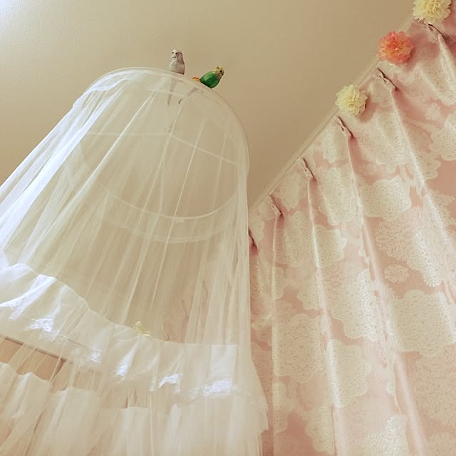 riiico03さんの実例写真