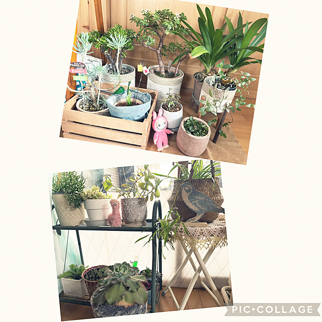 CoCo0617さんの部屋