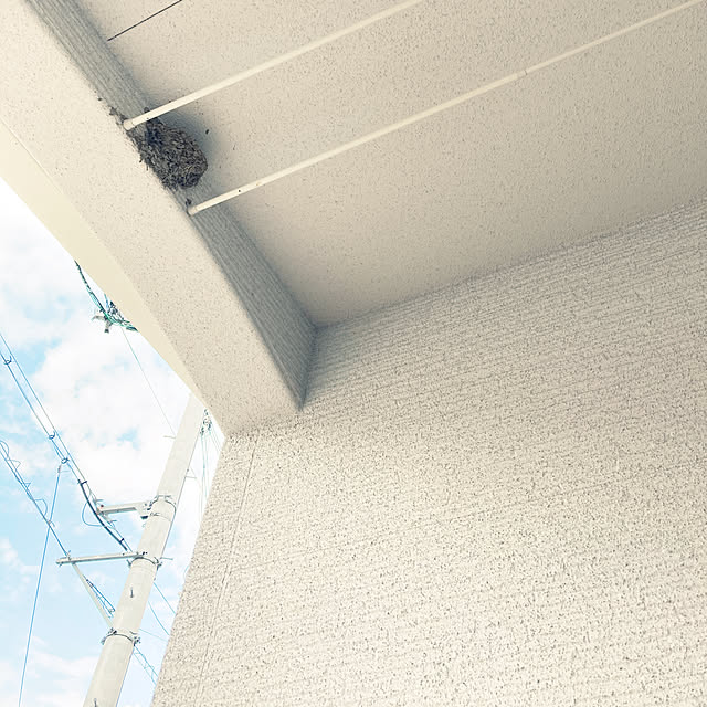 arasouさんの実例写真