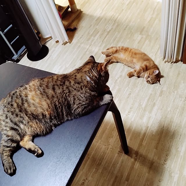 runaさんの部屋
