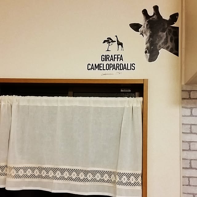 実例写真