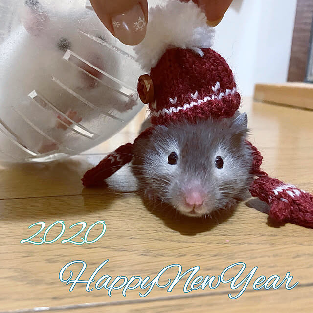 emiさんの実例写真