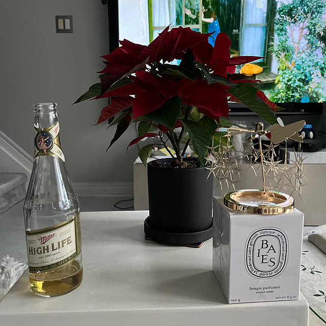 cocoarashさんの実例写真