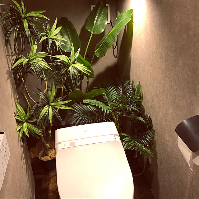 masさんの実例写真