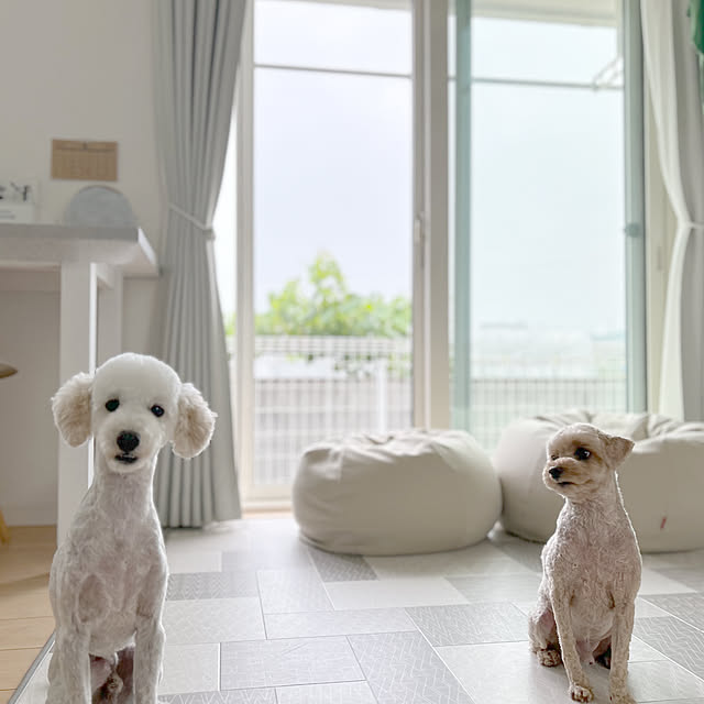 tintinさんの部屋