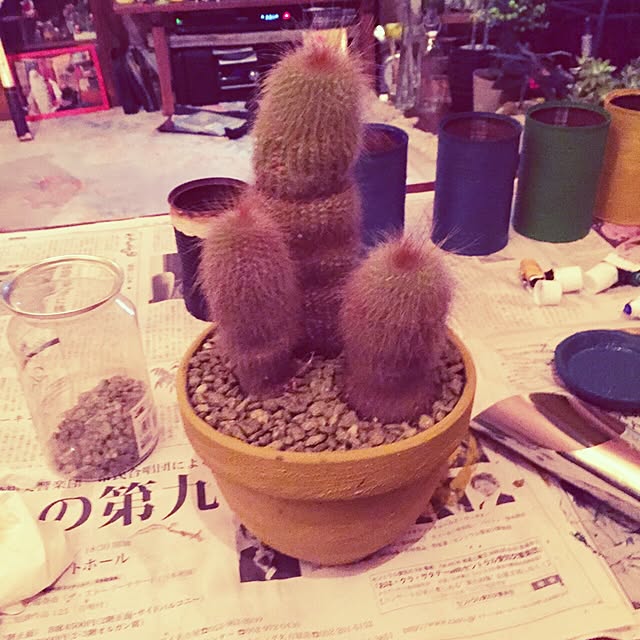 Masahideさんの実例写真