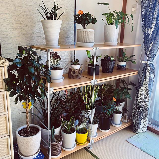 hanachanさんの部屋