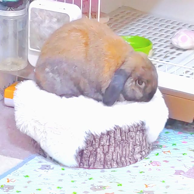 mariaさんの部屋