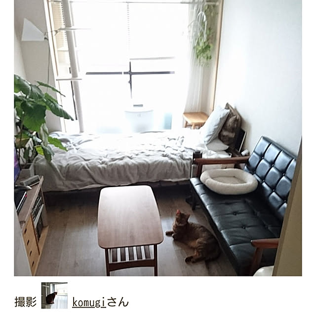 komugiさんの実例写真