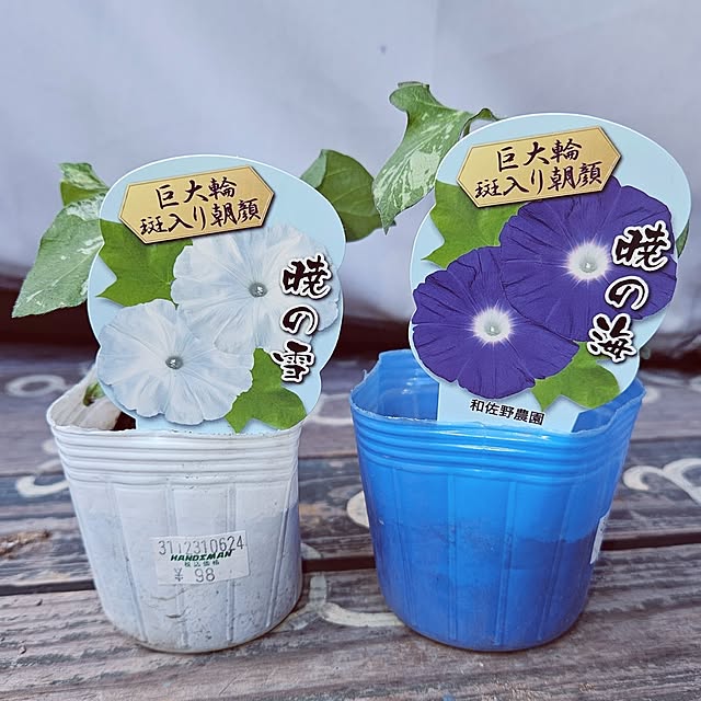 mocomocoさんの部屋