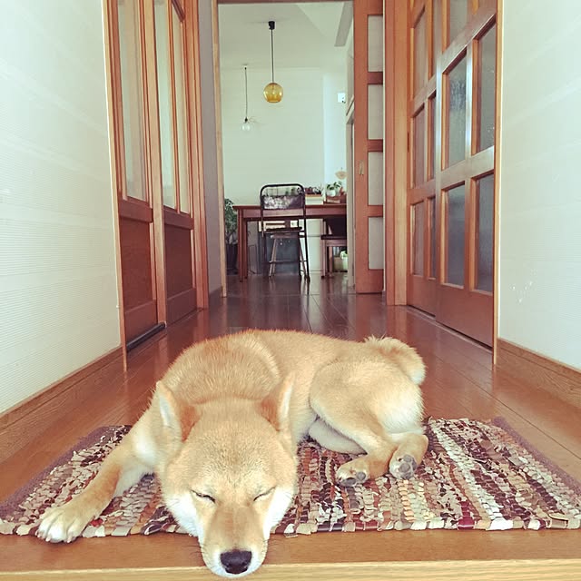 botannさんの実例写真
