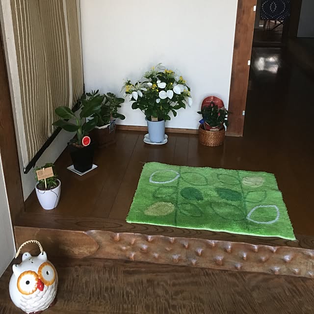 実例写真