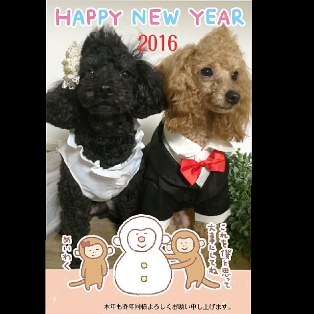 natulove0418さんの実例写真
