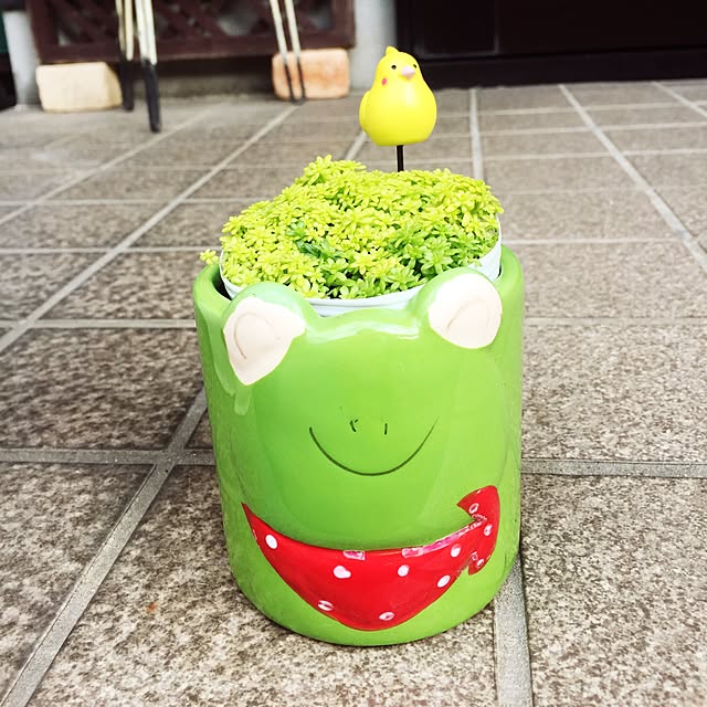 takakoさんの実例写真