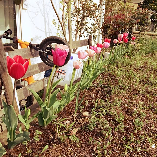 ELさんの実例写真