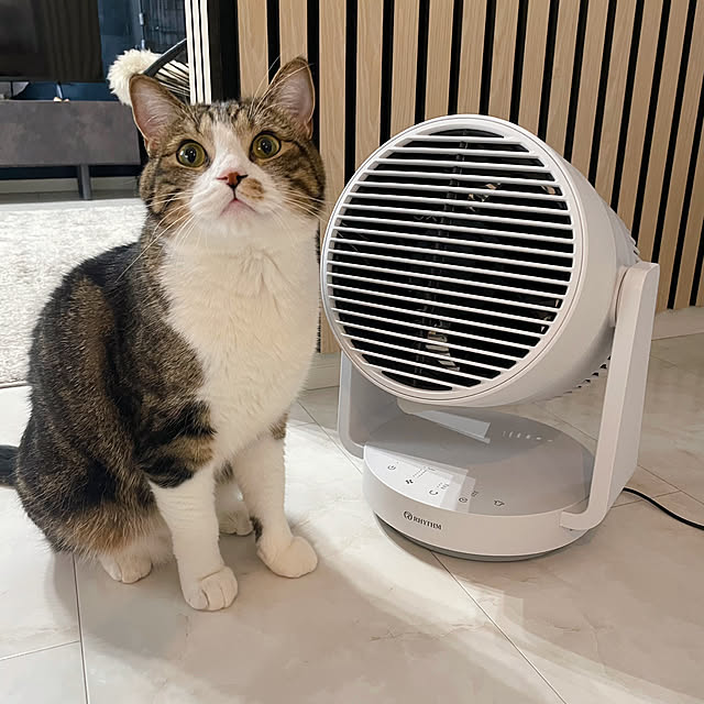 maimaiさんの実例写真