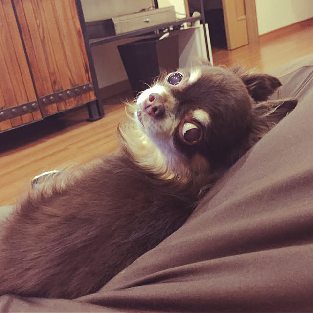kojiさんの実例写真