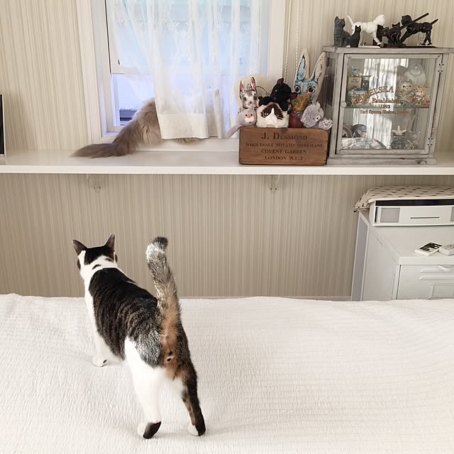 yuchiさんの実例写真