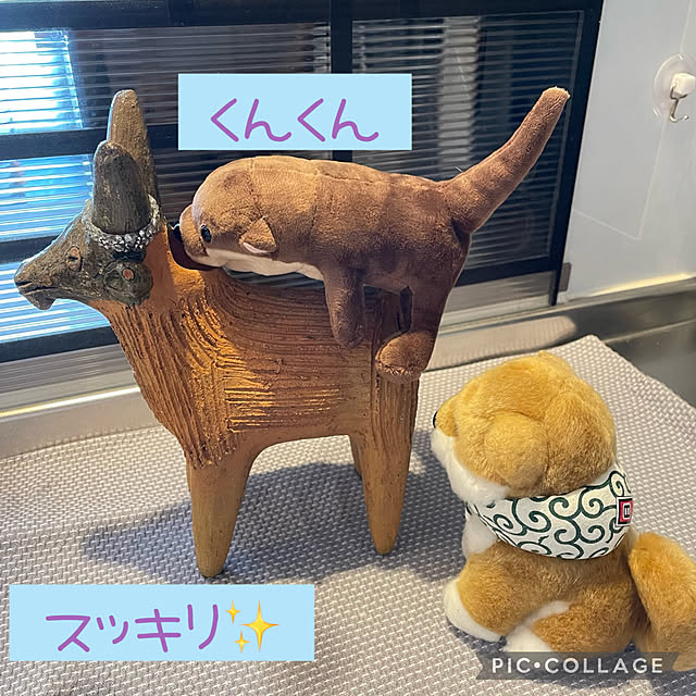 aureaさんの実例写真