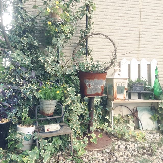 kohakuruさんの実例写真