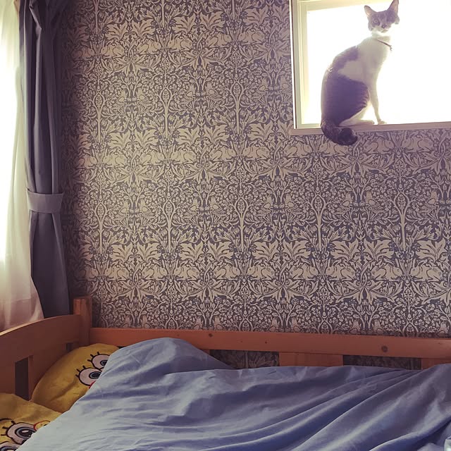 picakoさんの実例写真