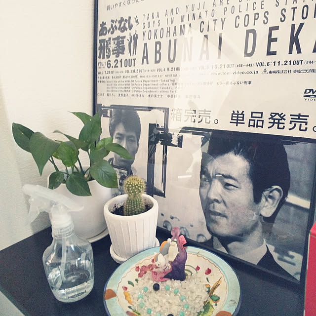 sikaさんの実例写真