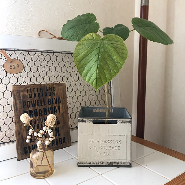 yukkoさんの部屋