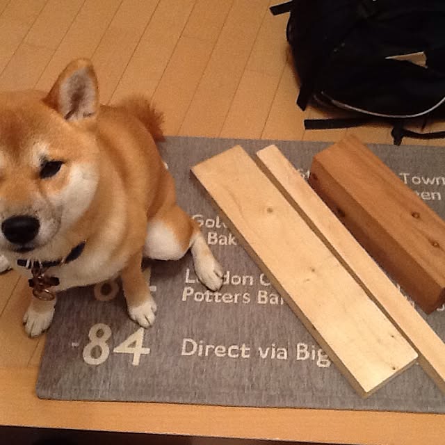 kotaさんの実例写真