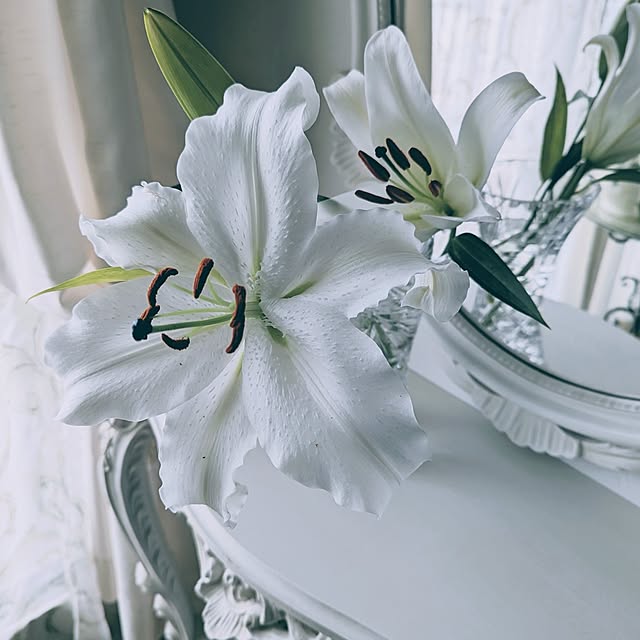 atelier.dot.kobeさんの実例写真