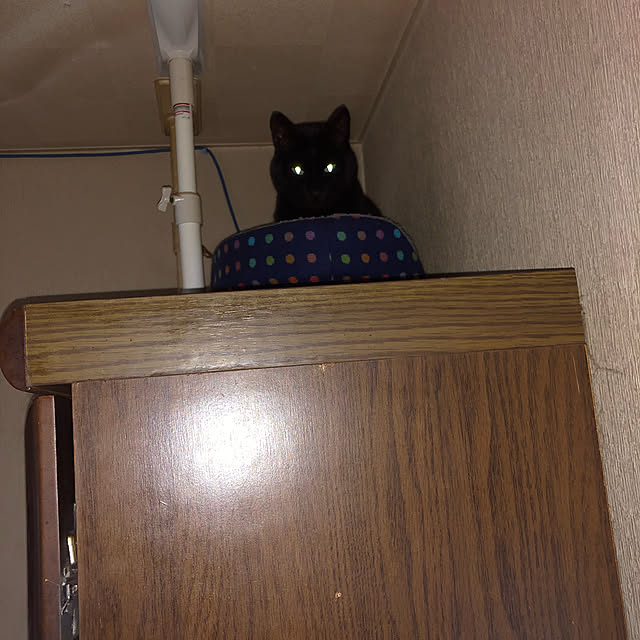 keiko.goma.3571さんの実例写真