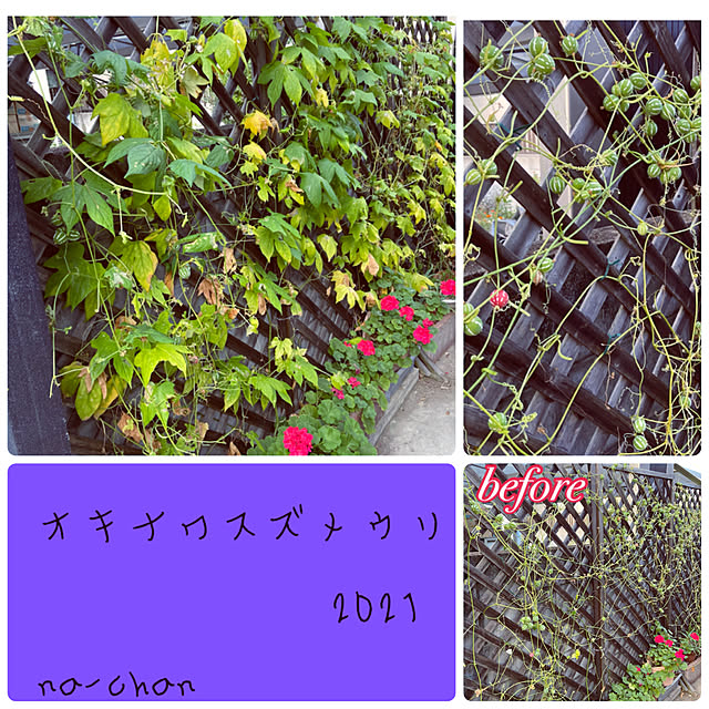 na-chanさんの実例写真