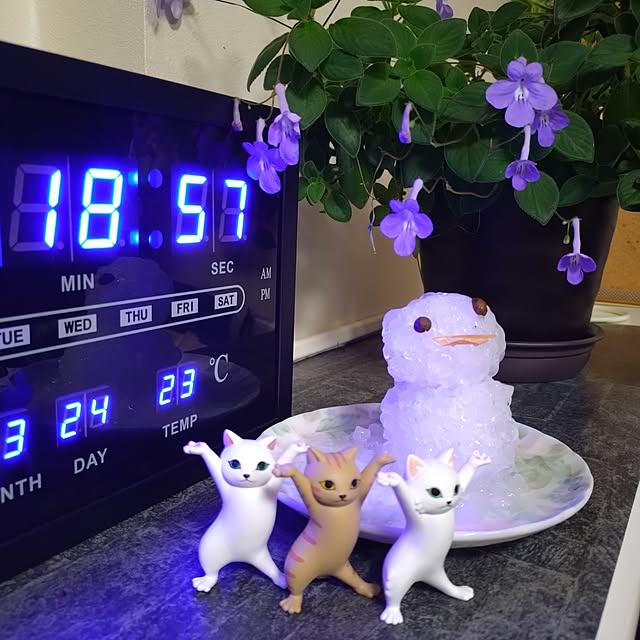 NOAHさんの実例写真