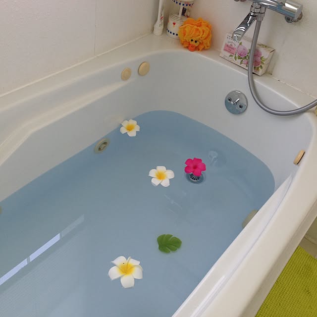 yottiさんの実例写真