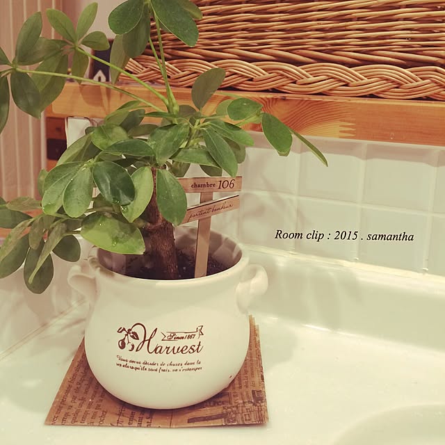 samanthaさんの実例写真