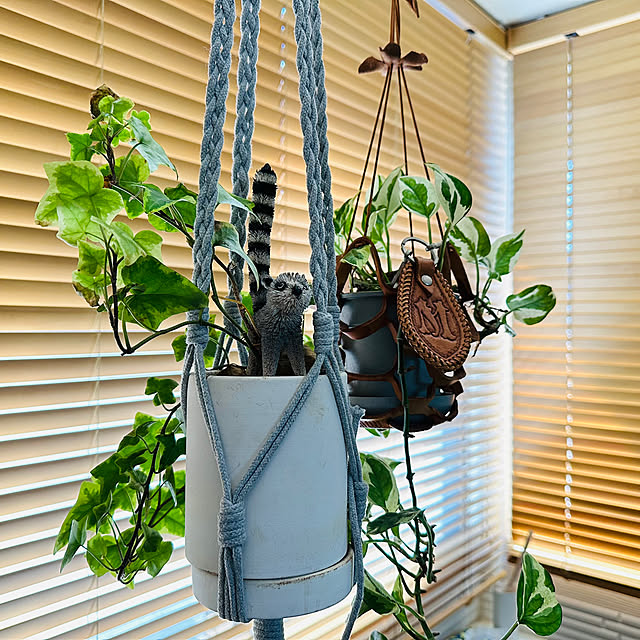 mizucchiさんの実例写真