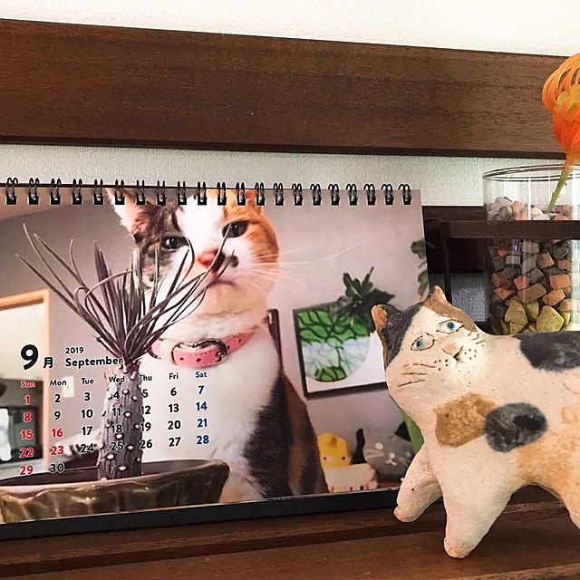 nyanko-beamさんの実例写真