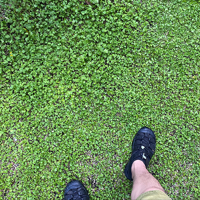 urotanさんの実例写真
