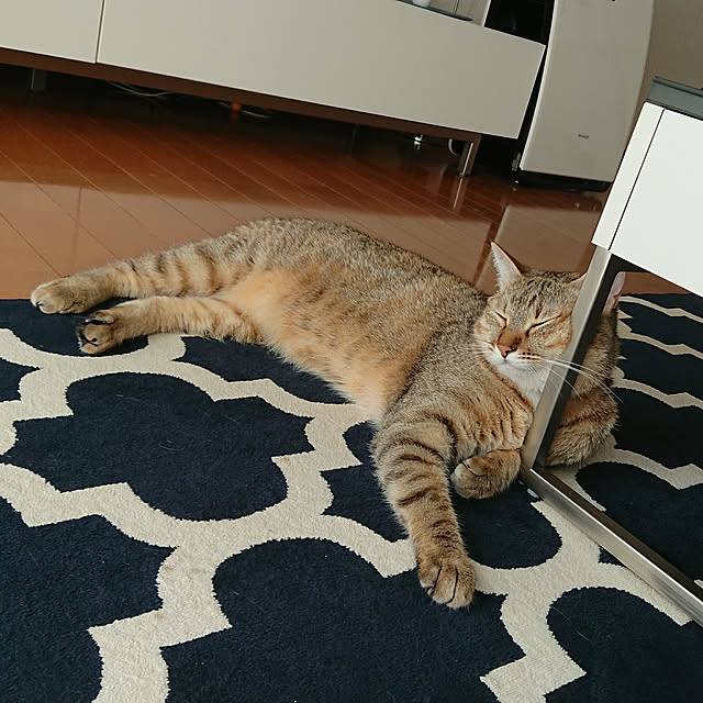 maikyさんの実例写真