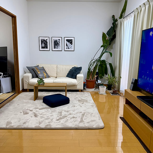 sakura-51さんの部屋