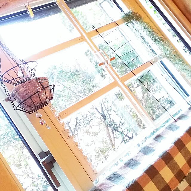 wa-koさんの実例写真