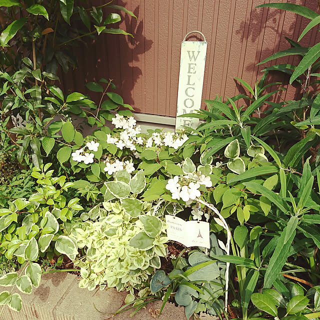 K-mamaさんの実例写真