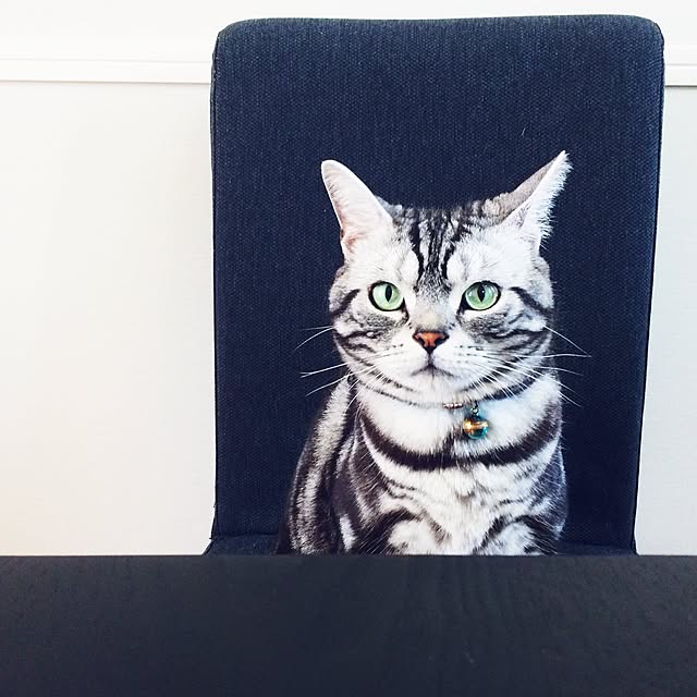 uniさんの実例写真