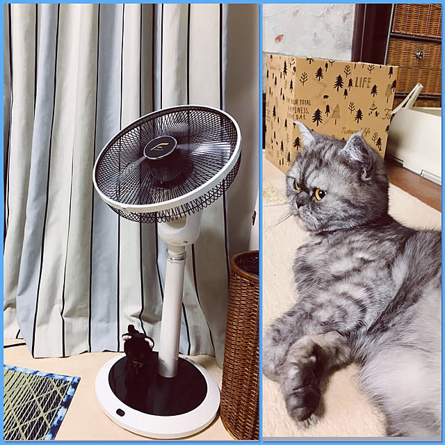 Marinさんの実例写真