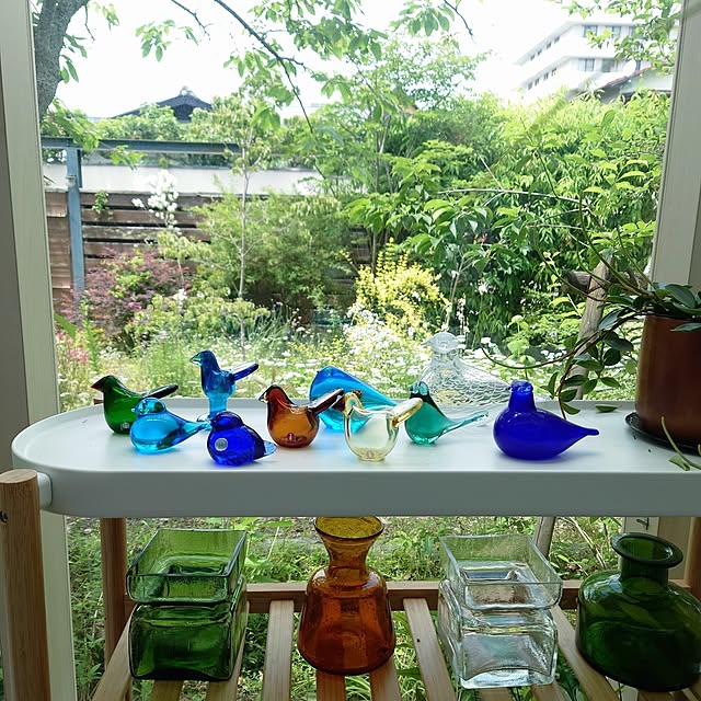 asmaさんの部屋