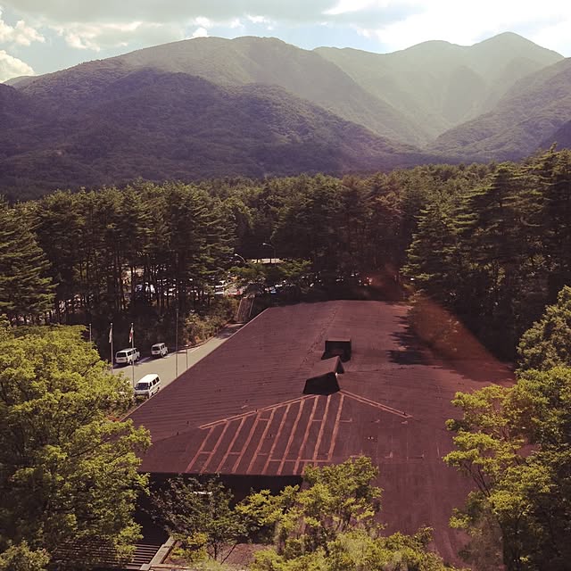 実例写真