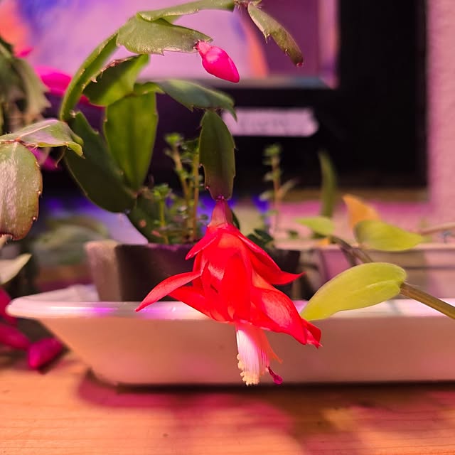 mitsuyama3136さんの部屋